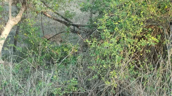 Summer travel destination, summer best travel place in Gujarat, summer travel, summer travel tips