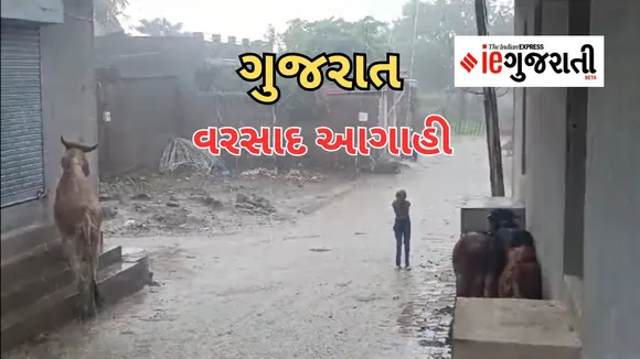 Gujarat Weather Forecast 25th June 2024