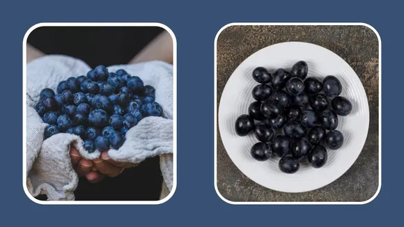 Jamun Comparions with Bluberries