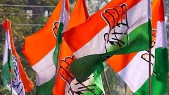 Election 2024, Congress