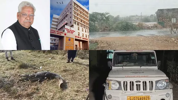 Today Gujarat Latest News 19th June 2024 - 1