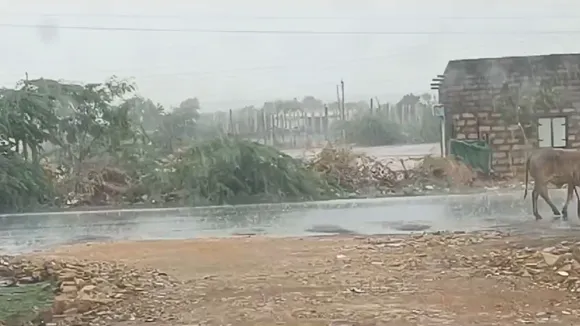 Today Gujarat Latest News 19th June 2024 - 2