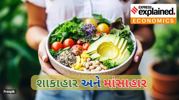 Vegetarian and non-vegetarian in India