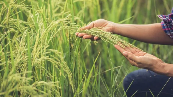 Budget, Budget 2024, Union Budget, Union Budget 2024