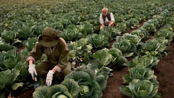 Budget, Budget 2024, Union Budget, Union Budget 2024