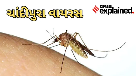 Chandipura Virus Death in Gujarat