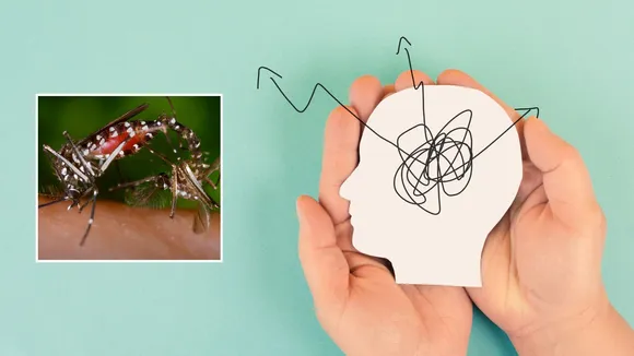 Dengue Fever and Nervous System