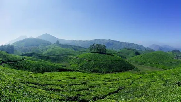 Kerala Tourism Munnar (1)