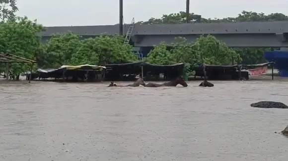 Gujarat Heavy Rain - 5