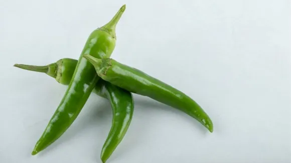 monsoon fry chilli, chilli fry, monsoon special recipe