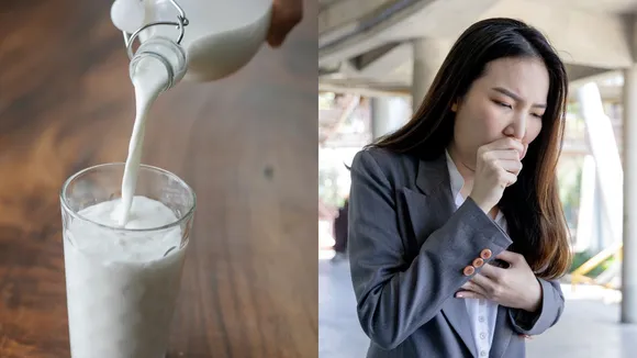 milk does not cause mucus