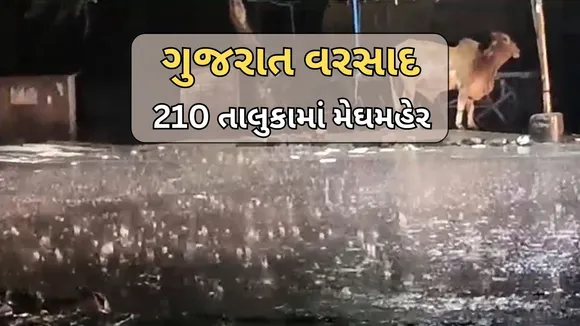 Gujarat Today Rainfall 24-08-2024