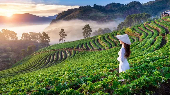 hill station | top 7 hill station near Gujarat | monsoon hill station tourist places near gujarat | best monsoon tourist places near Gujarat