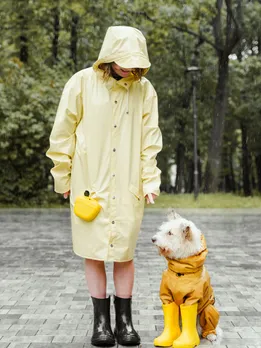 Waterborne Disease During Monsoon Care