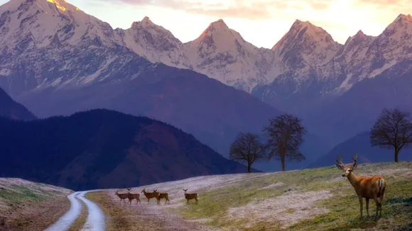 Travel, travel tips, uttarakhand destinations