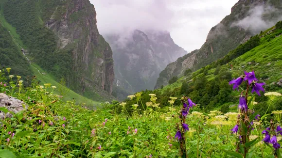 Travel, travel tips, uttarakhand destinations