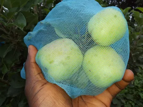 10 Most Expensive Fruits | Worlds 10 most expensive fruits name and price | Worlds 10 most expensive fruits | Fruits