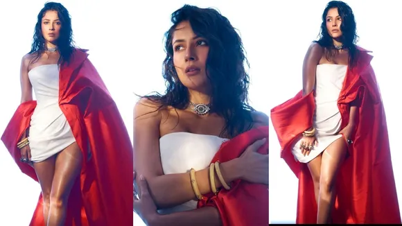 shehnaaz gill | shehnaaz gill photo | shehnaaz gill movies | shehnaaz gill song | shehnaaz gill latest photo