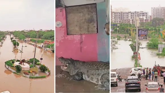 vadodara flood | vadodara rain flood video | vadodara water logging | Vadodara news | vishwamitri river flood | vishwamitri river crocodile rescue | crocodile in Vadodara | vadodara municipal corporation