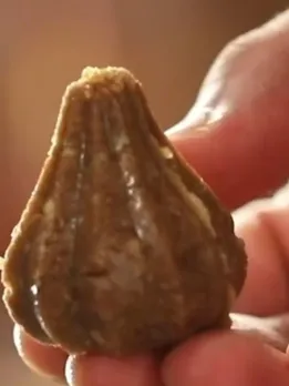 _easy Oats Jaggery Modak Recipe