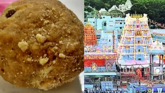 Tirupati Laddu Row: તિરૂપતિ મંદિર લાડુ માટે આ કંપનીનું ઘી ખરીદશે, આંધ્રપ્રદેશની ચંદ્રબાબુ નાયડુ સરકારે ઘીનો સપ્લાયર બદલ્યો