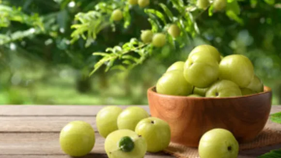 આમળા ખાવાના ફાયદા | Benefits of Amla