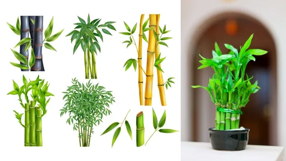 (તસવીર: Freepik)