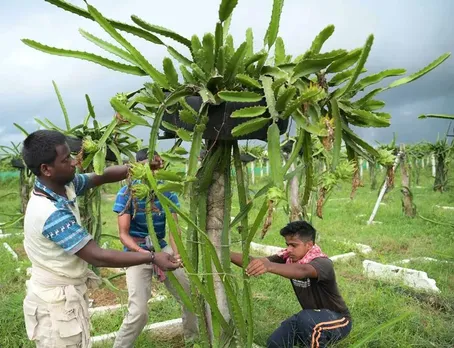 (Photo : Indian Express)