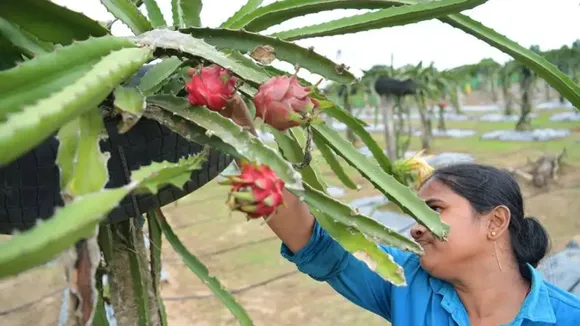 (Photo : Indian Express)
