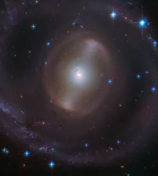 magnificent central bar