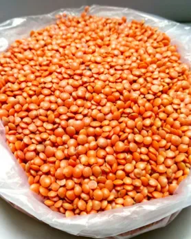 Masoor Dal Benefits