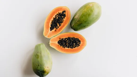 (Photo Credit: CANVA)