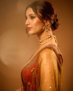 Tripti Dimri Diwali Look