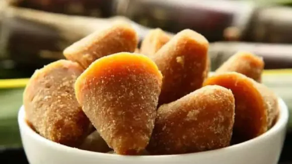 (તસવીર : સોશિયલ મીડિયા)