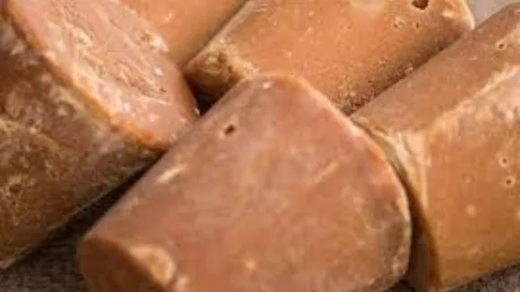 (તસવીર : સોશિયલ મીડિયા)