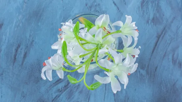 (તસવીર: Freepik)