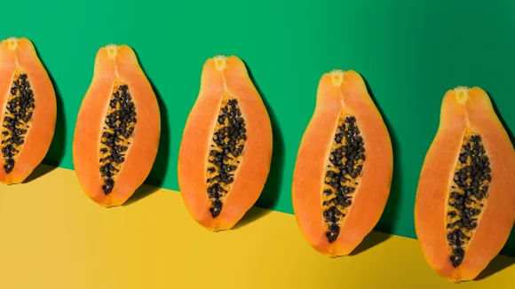 (Photo Credit: CANVA)