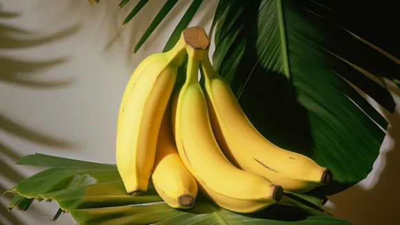 fruits | banana