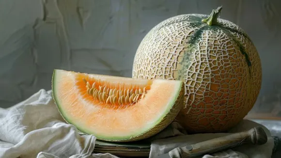 fruits | cantaloupe