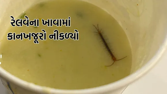 centipede in IRCTC meal, centipede found in IRCTC meal,