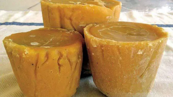 (તસવીર : સોશિયલ મીડિયા)