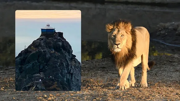 Gujarat famous tourist places | gir national park | Girnar