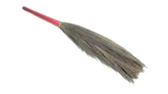 (તસવીર: સોશિયલ મીડિયા)