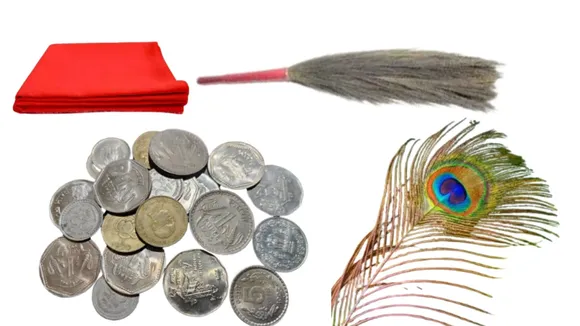 (તસવીર: સોશિયલ મીડિયા)