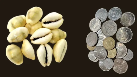 (તસવીર: સોશિયલ મીડિયા)