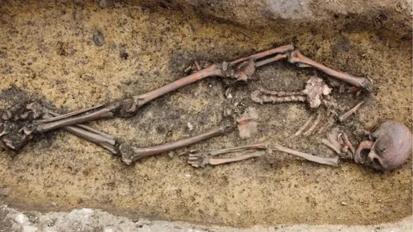 Denmark, rare discovery, Viking Age,