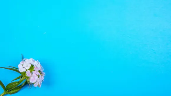 paint colour | Diwali Vastu Tips | vastu tips for house | vastu shastra tips | vastu shastra remedies | home paint colour vastu tips | vastu tips for home paint colour direction | home paint colour tips | vastu shastra upay