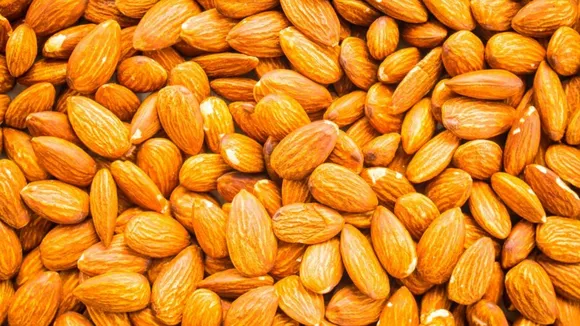 Almonds | Winter Food