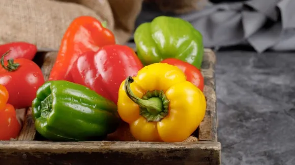 Vegetables | Bell Peppers
