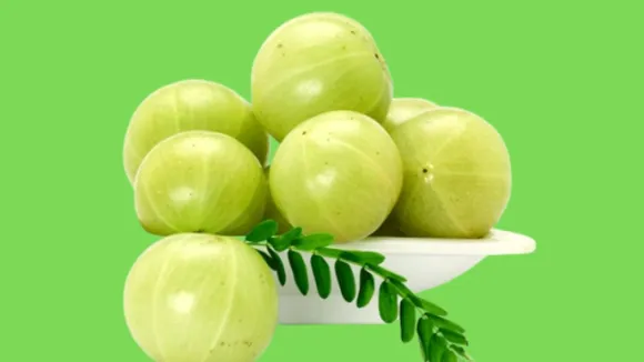 (તસવીર: Canva)